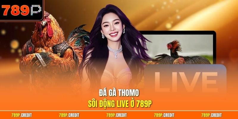 Đá gà Thomo sôi động live ở 789P