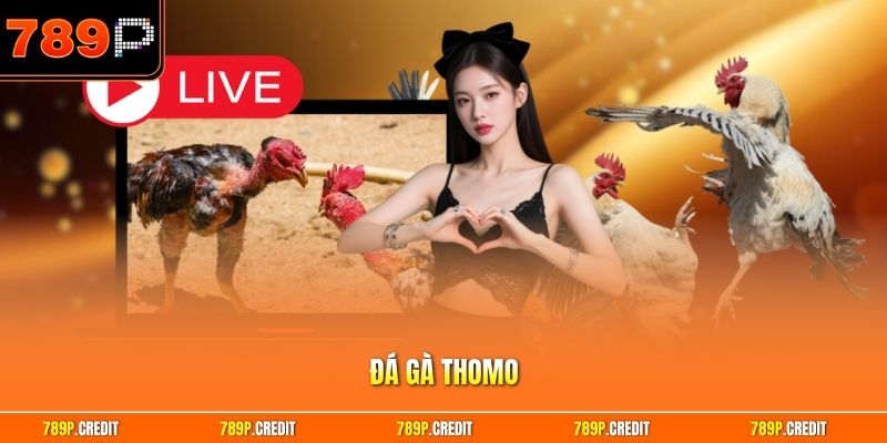 Đá gà Thomo