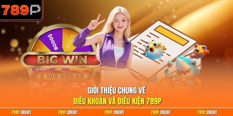 Giới thiệu chung về  điều khoản và điều kiện 789P