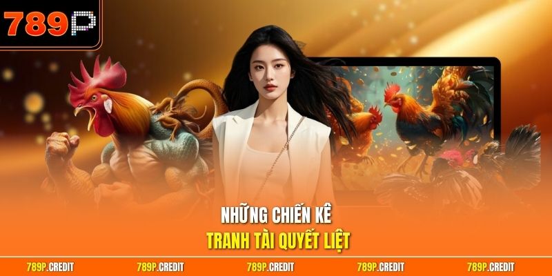 Những chiến kê tranh tài quyết liệt